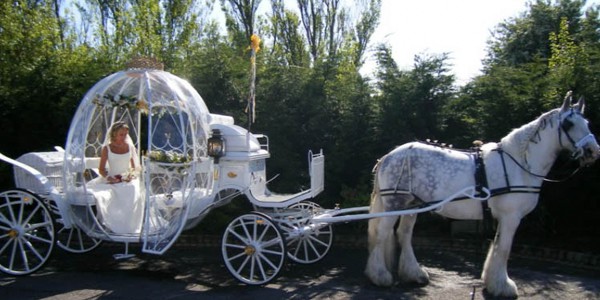 Horse And Carriage Hire Manchester, Liverpool, Cheshire, Leeds, Bradford, Birmingham & Northwest